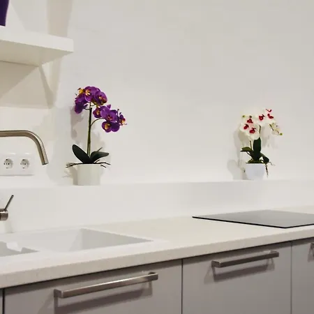 Interno Casa Apartment